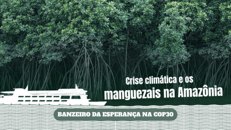 Banzeiro da Esperança na COP30: Os manguezais amazônicos são instrumentos contra a crise climática
