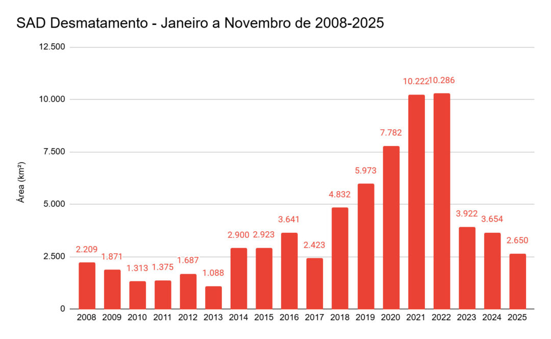 Desmatamento cai 27% de janeiro a novembro na Amazônia