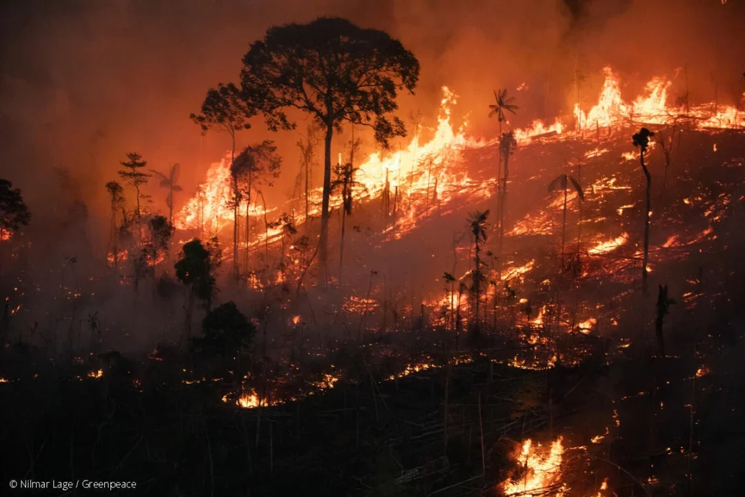 Imagem colorida mostra floresta em chamas para falar de focos de calor