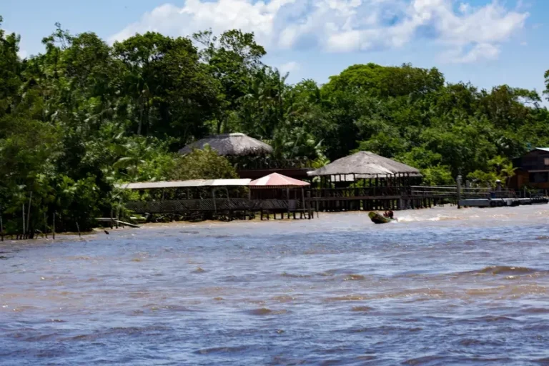 Casas ecológicas serão erguidas com tijolos de caroços de açaí em ilha de Belém