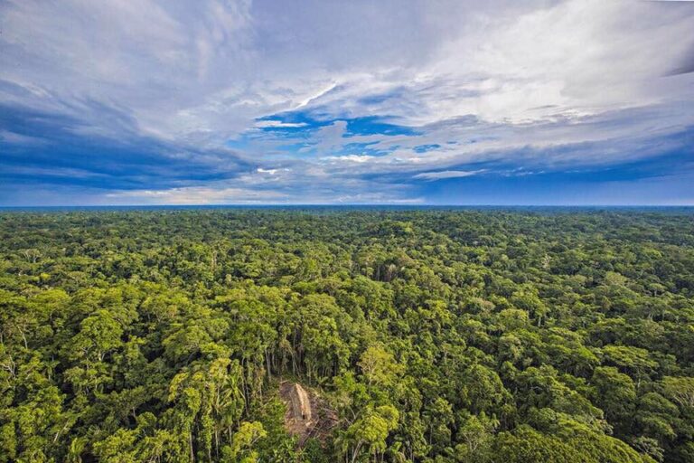 Eleições 2026: qual o papel da Amazônia nos planos de governo dos candidatos à presidência?