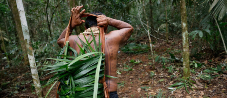 Estudo aponta que Terras Indígenas ajudam a reduzir transmissão de doenças na Amazônia