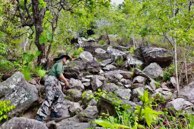 Cotas de Proteção Ambiental, no Pará,  aproximam produção rural da preservação da floresta