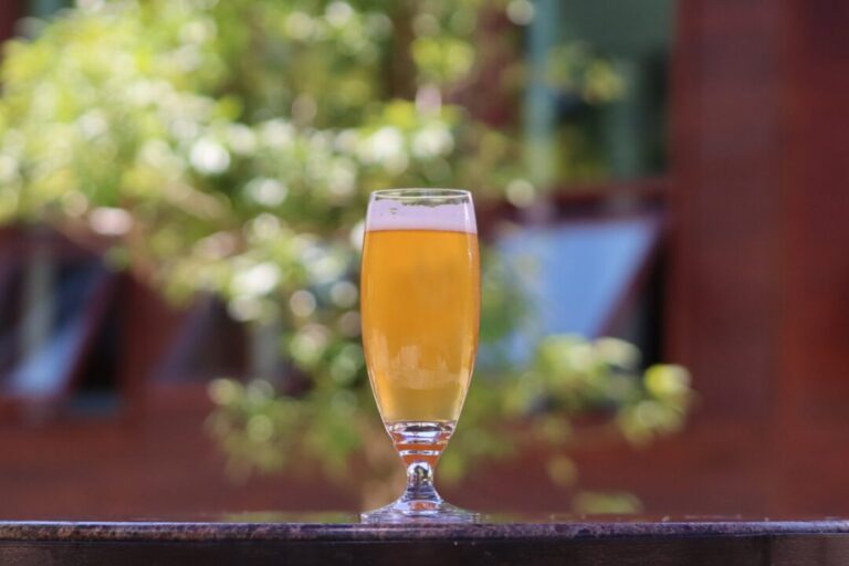 Cervejas criadas na Amazônia mostram criatividade e regionalidade; conheça algumas opções