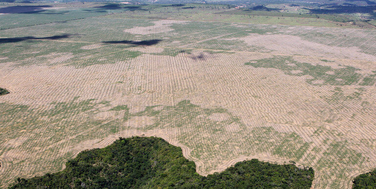 Museu Goeldi participa de projeto para restauração de reserva no Maranhão