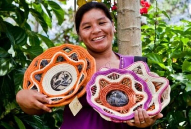 Minam publica projeto para desenvolvimento e operação de créditos de biodiversidade no Peru