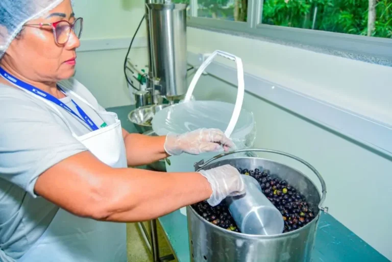 Amapá é líder no ranking de patentes em relação ao PIB na Região Norte