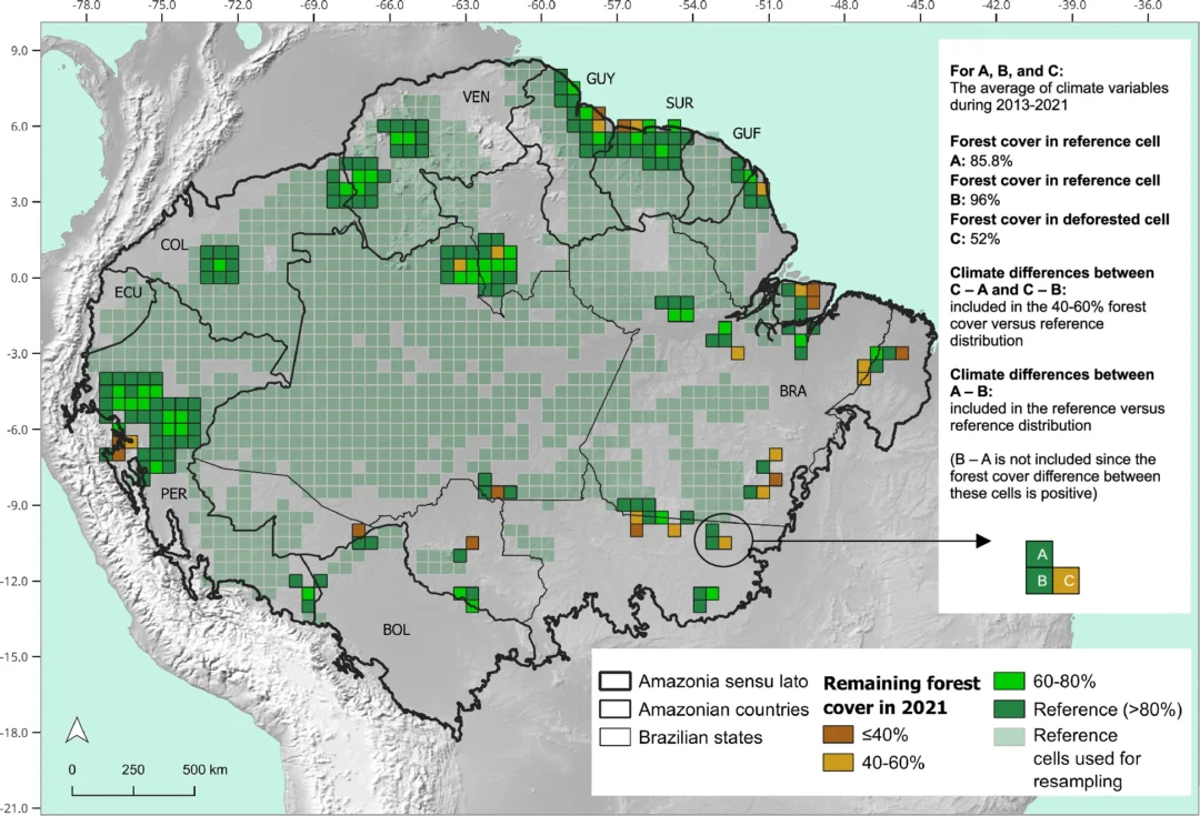 Desmatamento: modelos mostram que a floresta amazônica mantém microclima no solo