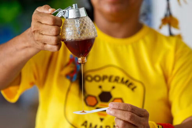 Amapá passa a integrar Rota do Mel, divulga MDIR