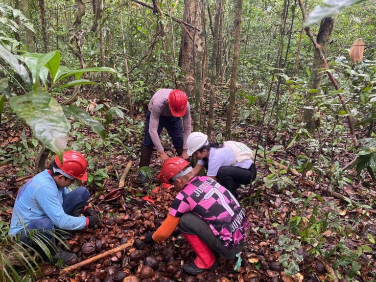 A floresta não é rótulo