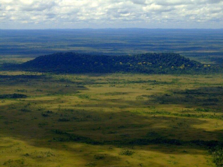 Parque Nacional dos Campos Amazônicos: onde Amazonas, Rondônia e Mato Grosso se encontram