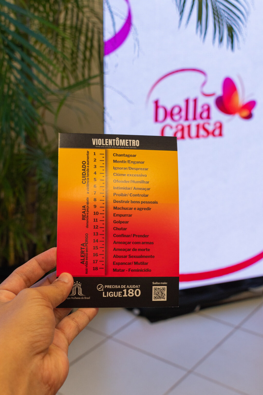 projeto bella causa roraima