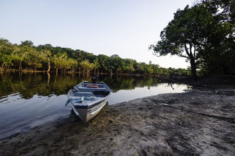 Unidades de Conservação da Amazônia tiveram menor desmatamento dos últimos 11 anos em 2025