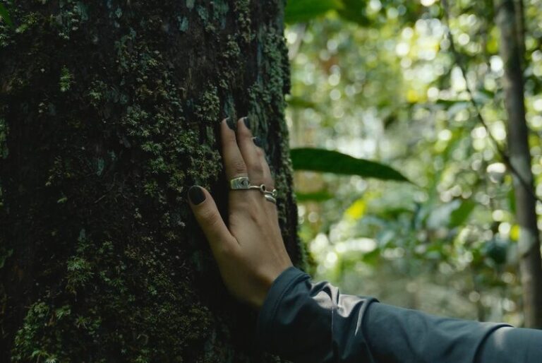 Amazônia é destaque em seleção dos principais destinos de ecoturismo do Brasil para 2026