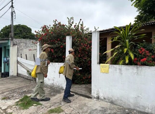 monitoramento de dengue em manaus - aplicação de ovitrampas