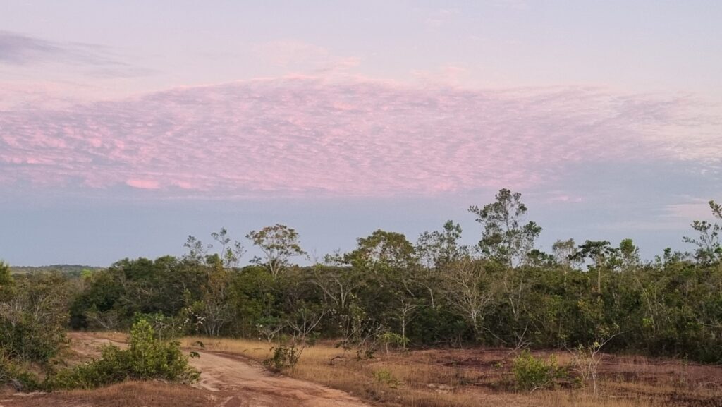 Parque Nacional dos Campos Amazônicos
