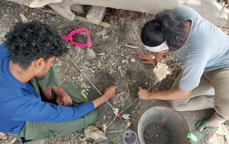 Parceria internacional fortalece pesquisas arqueológicas em reserva extrativista no Pará
