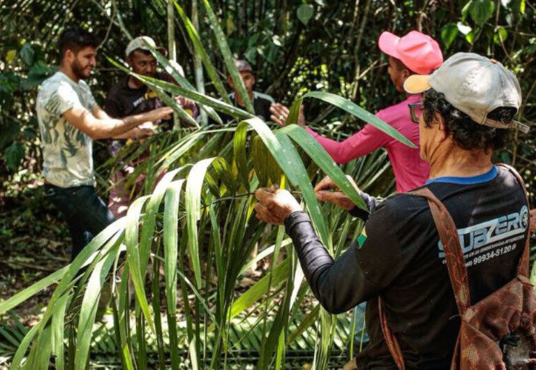 Instituições firmam acordo para integrar cultura e meio ambiente em territórios tradicionais