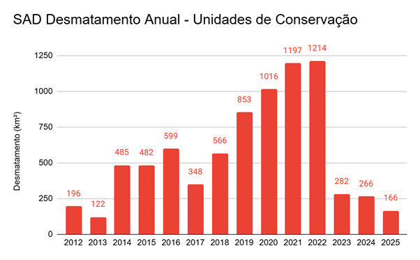 Unidades de Conservação da Amazônia tiveram menor desmatamento dos últimos 11 anos em 2025