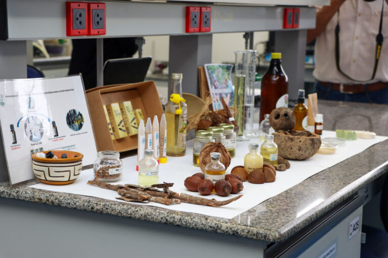 2026: recorrentes ideias sobre novo modelo econômico para o Amazonas impulsionado pela integração ZFM/PIM/Bioeconomia