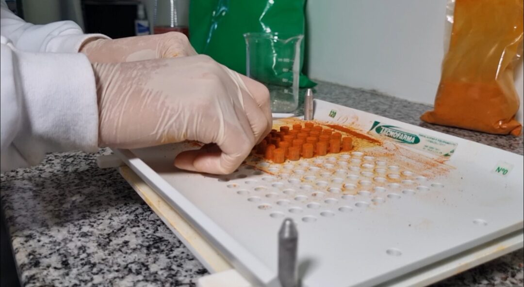 Plantas da Amazônia são usadas para criação de produtos naturais e cosméticos no Amapá