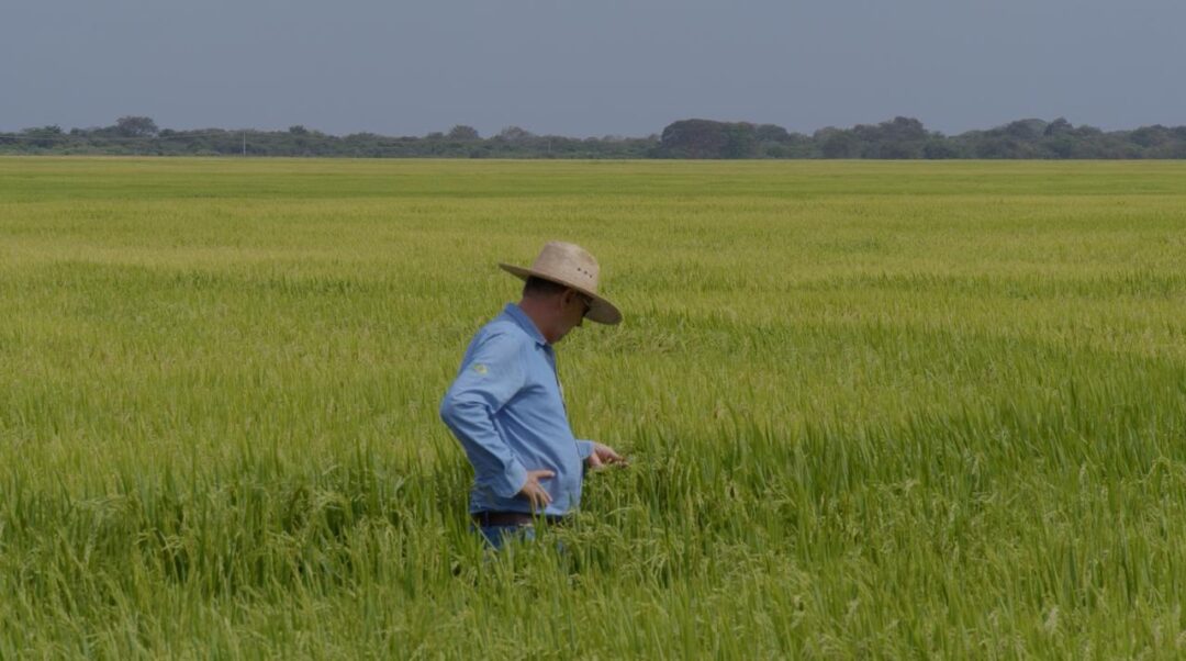 amazon sat em roraima
