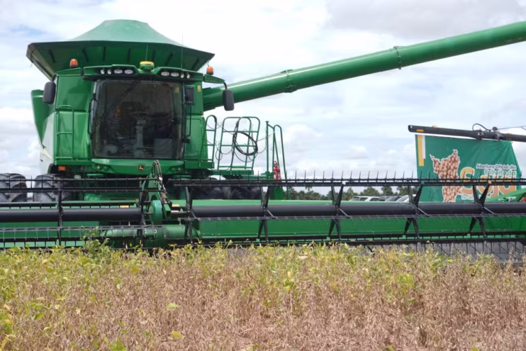 Projetos inovadores impulsionam o agronegócio e fortalecem a sustentabilidade em Roraima