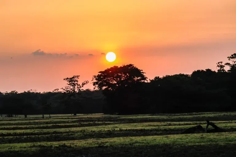 Amapá não registra desmatamento acima de 50 hectares por imóvel rural em três anos