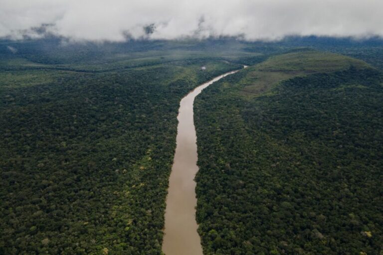 Amazônia colombiana reduziu desmatamento em cerca de 25% entre janeiro e setembro de 2025