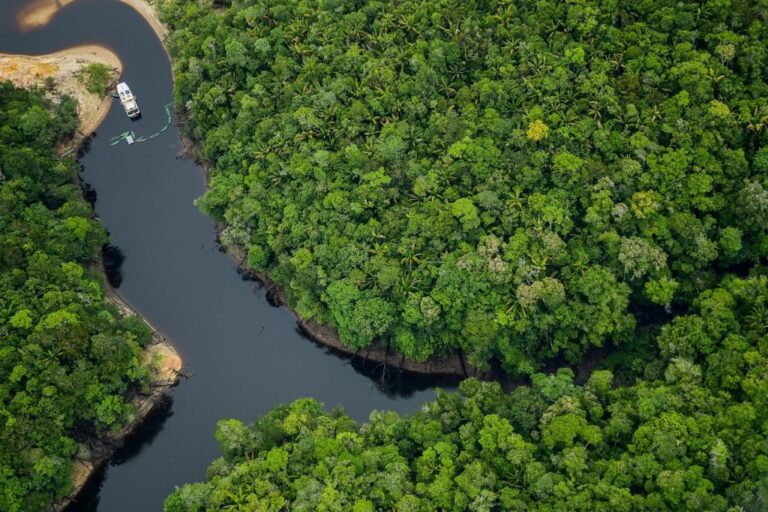 Lacunas no conhecimento científico revelam desafios para estudar a biodiversidade da Amazônia