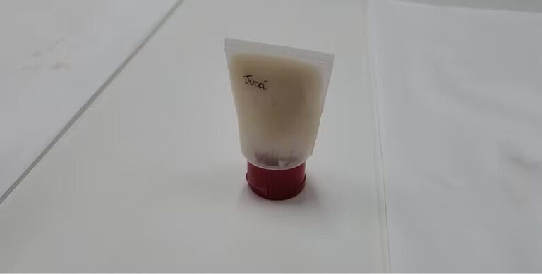 Jucá: planta amazônica é usada em pesquisa da Unifap como opção para cura de pé diabético no SUS