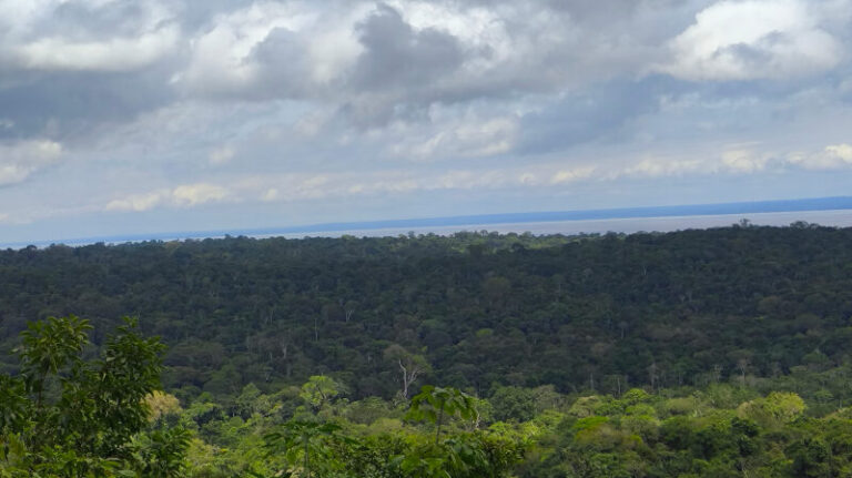 Desmatamento na Amazônia eleva em 3°C a temperatura da superfície durante a estação seca
