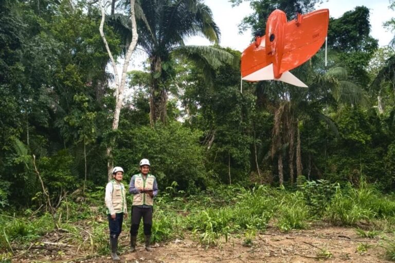 Drone permite monitoramento de mil hectares da floresta amazônica no Peru em três horas