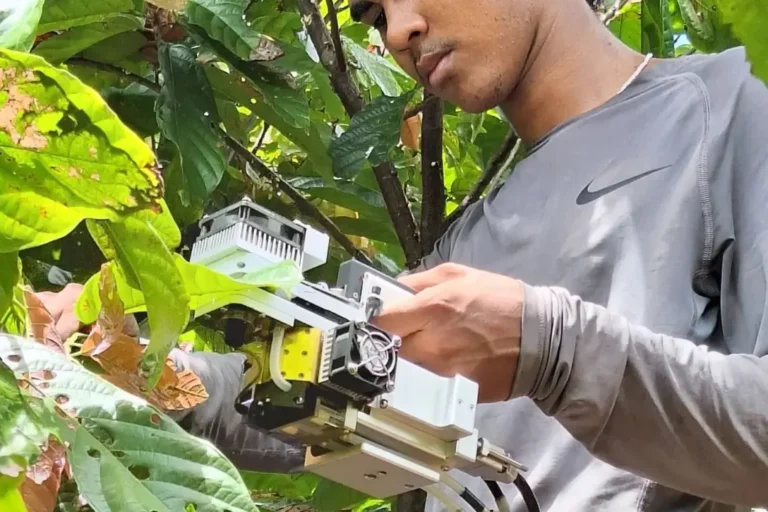 Estudo analisa viabilidade econômica e impactos da irrigação e da agricultura de do cacau amazônico