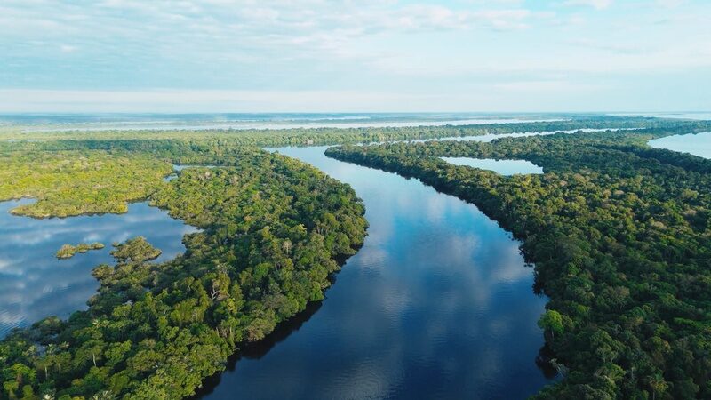 A imensidão da maior floresta tropical do mundo vista de cima, Amazônia, cortada por seus rios sinuosos. Foto: Marcelo Bonifácio