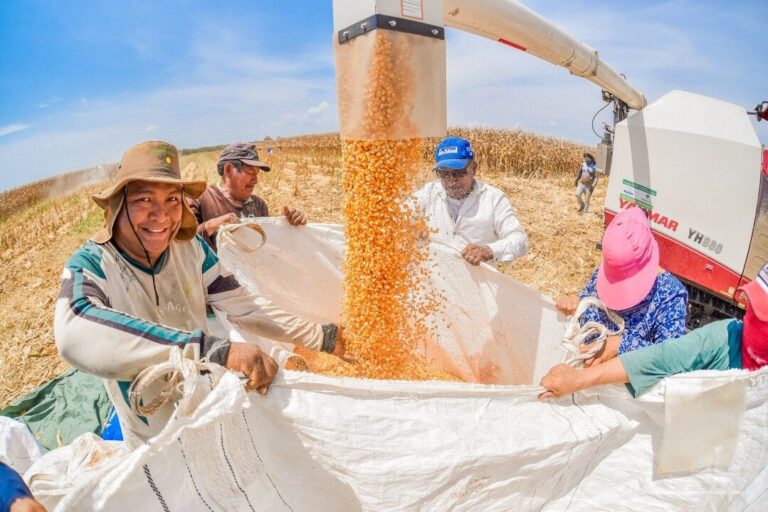 Boa Vista fortalece a agricultura familiar com investimentos no campo