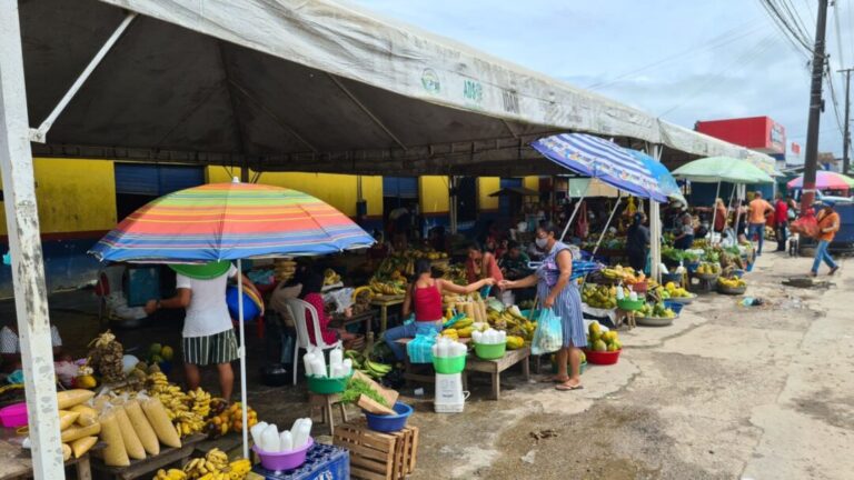 Vulnerabilidade alimentar influencia a forma como comunidades amazônicas percebem a natureza