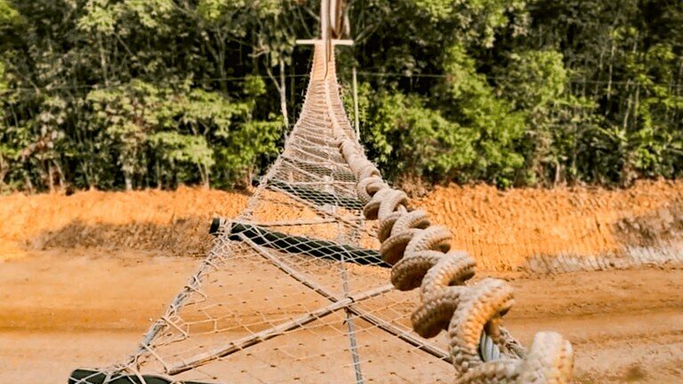 DNIT anuncia modernização do monitoramento da fauna silvestre na BR-319