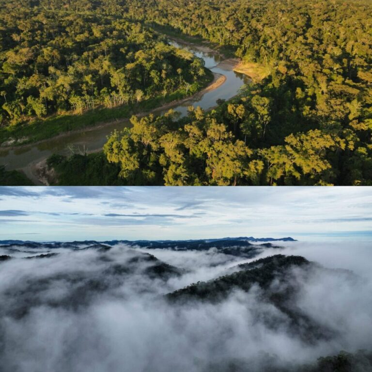 Dois parques do Acre são indicados para turismo de observação de aves no Brasil
