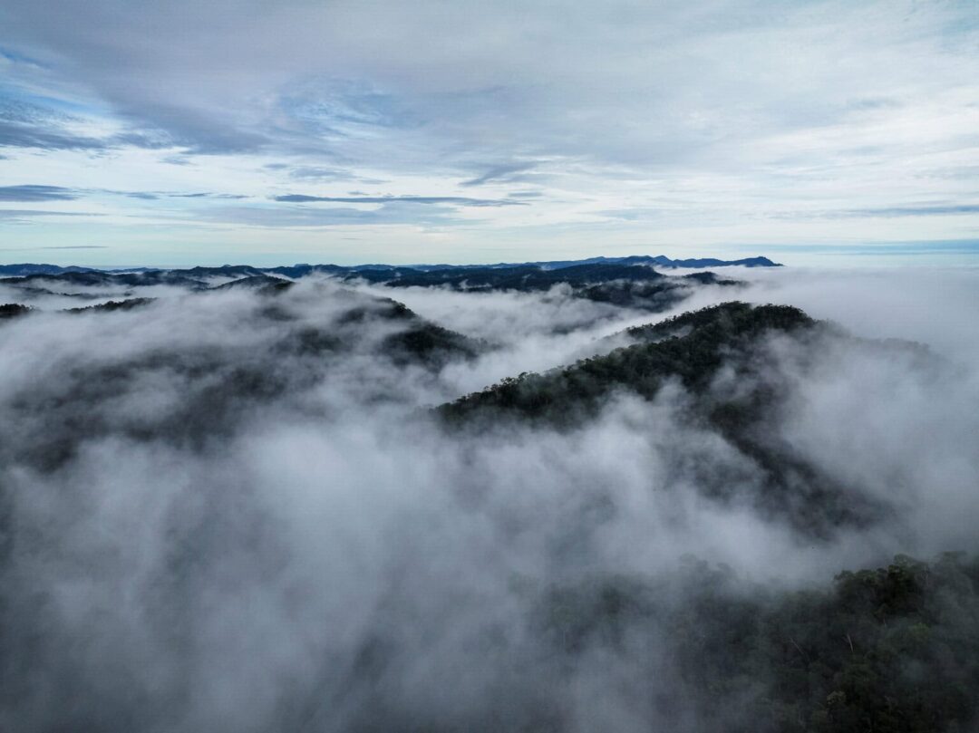 Parque Nacional da Serra do Divisor
