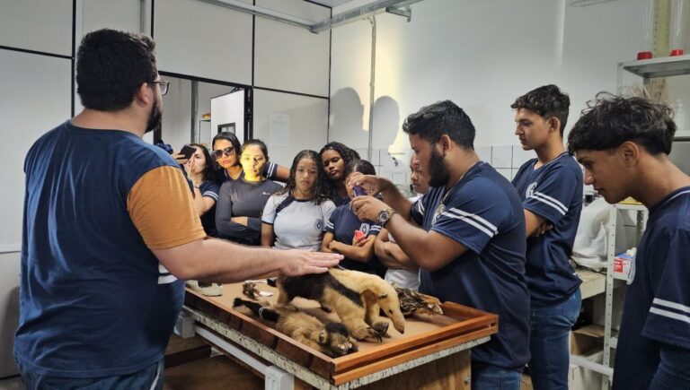 Rede social é usada para popularizar ciência e biodiversidade amazônica por estudantes da UFPA