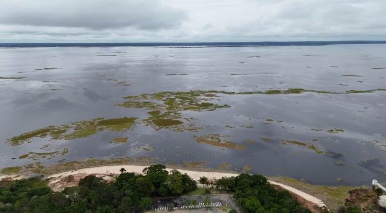 Rios Negro e Solimões apresentam estabilidade em Manaus e Manacapuru 