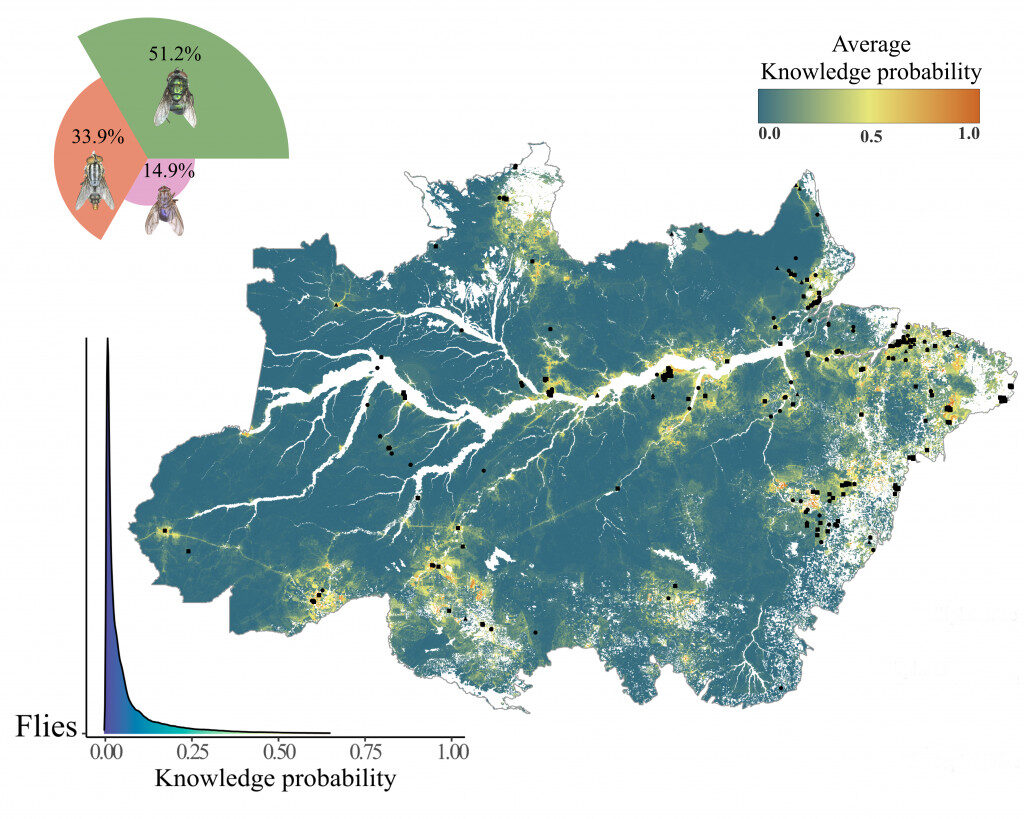 Amazônia sofre lacunas na educação ciêntifica