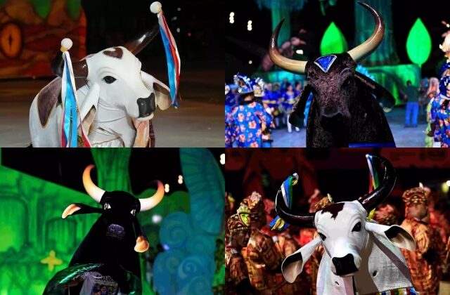 Além de Caprichoso e Garantido: saiba quais bois do Manaus fazem parte do Carnaboi 2026