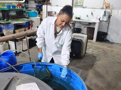 mulheres na ciência do INPA