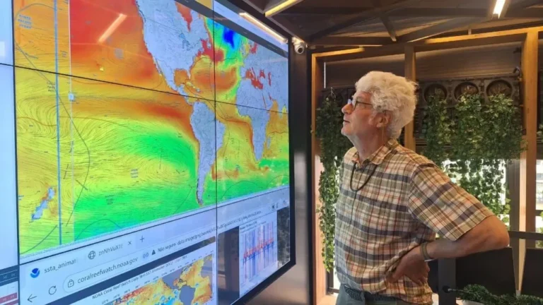 Entenda o que é a NDC coletiva que a Pan-Amazônia estuda criar, segundo pesquisador da OTCA