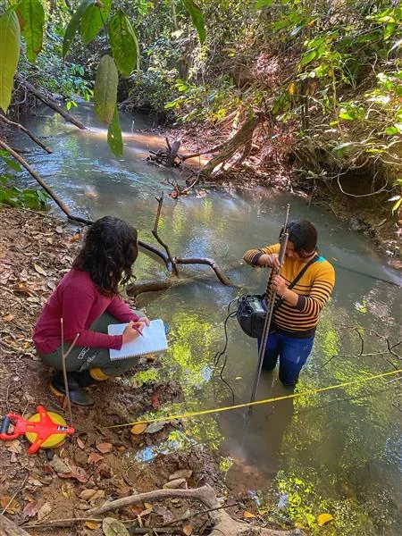 Desmatamento altera fluxo dos córregos na transição entre a Amazônia e o Cerrado