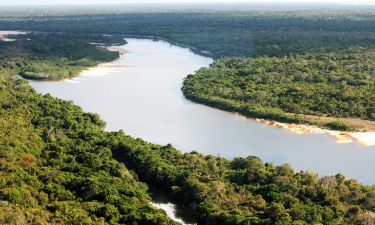 Estudo técnico será realizado no Parque do Cantão para exploração do ecoturismo