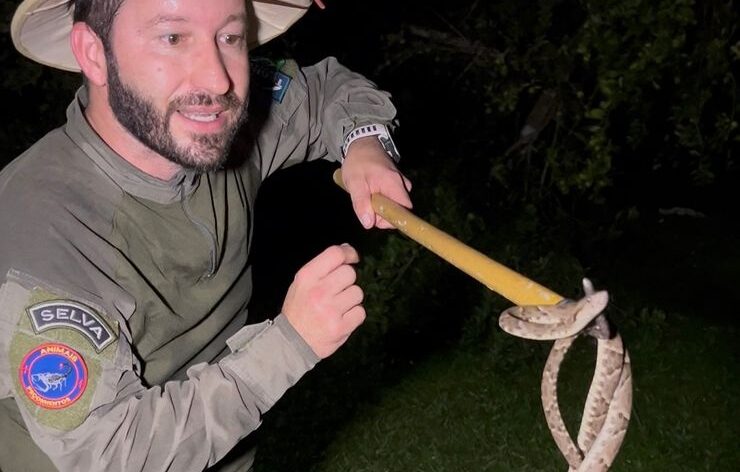 Por pouco! Encontrei uma jararaca na trilha e quase sofri um acidente