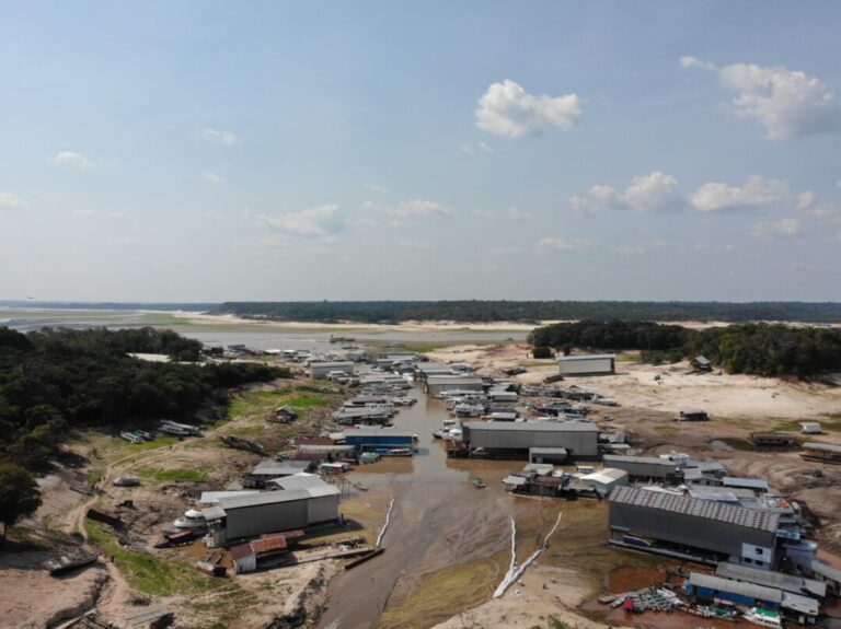 Pesquisadores do Inpa alertam para impactos de barragens e secas extremas sobre florestas alagáveis da Amazônia